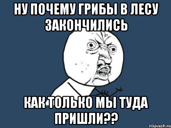 ну почему грибы в лесу закончились как только мы туда пришли??, Мем Ну почему