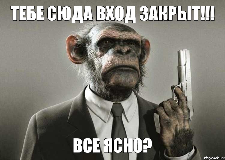 тебе сюда вход закрыт!!! Все ясно?, Комикс обезьяна с пистолетом