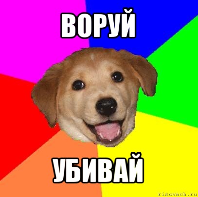 воруй убивай, Мем Advice Dog