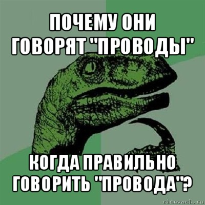 почему они говорят "проводы" когда правильно говорить "провода"?, Мем Филосораптор