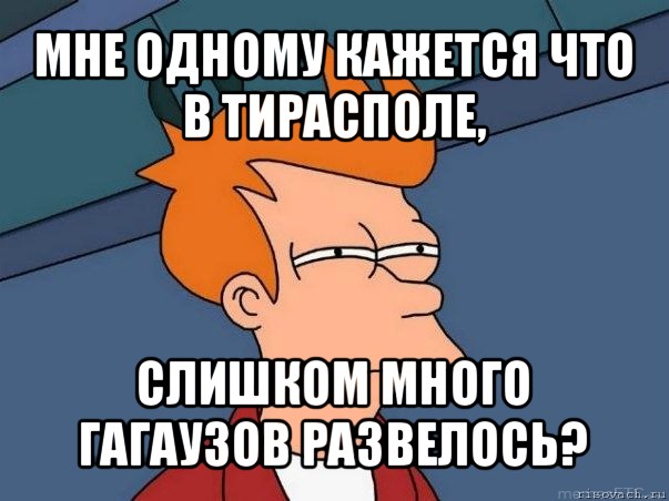 мне одному кажется что в тирасполе, слишком много гагаузов развелось?, Мем  Фрай (мне кажется или)