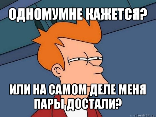 одномумне кажется? или на самом деле меня пары достали?, Мем  Фрай (мне кажется или)