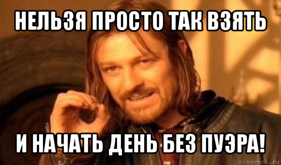 нельзя просто так взять и начать день без пуэра!, Мем Нельзя просто так взять и (Боромир мем)