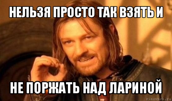 нельзя просто так взять и не поржать над лариной, Мем Нельзя просто так взять и (Боромир мем)