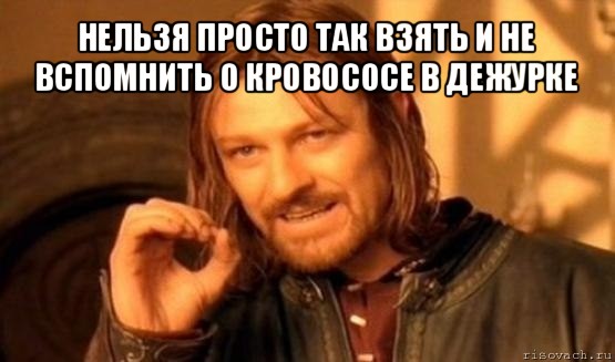 нельзя просто так взять и не вспомнить о кровососе в дежурке , Мем Нельзя просто так взять и (Боромир мем)