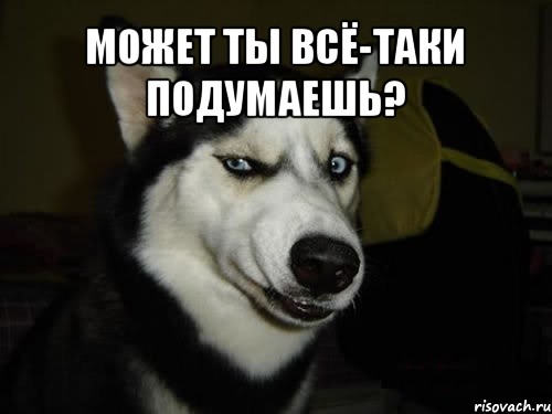 Может ты всё-таки подумаешь? 