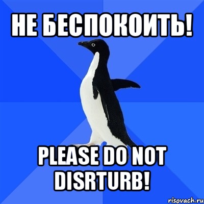 не беспокоить! please do not disrturb!, Мем  Социально-неуклюжий пингвин