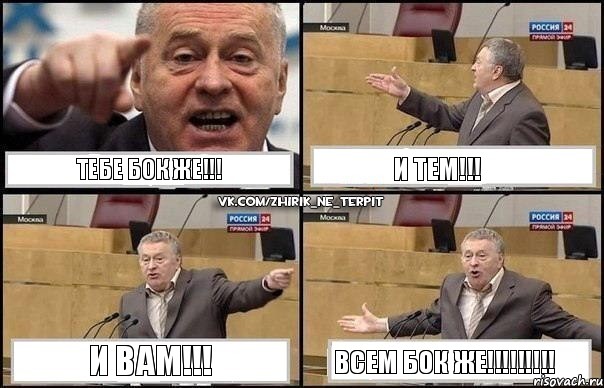 Тебе Бок ЖЕ!!! И тем!!! И вам!!! ВСЕМ БОК ЖЕ!!!, Комикс Жириновский