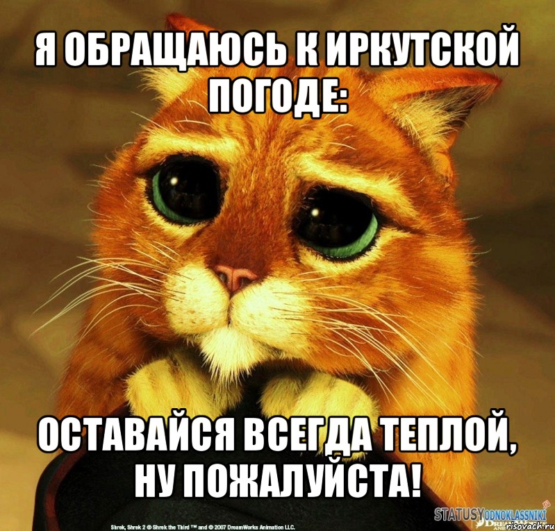 я обращаюсь к иркутской погоде: оставайся всегда теплой, ну пожалуйста!, Мем Котик из Шрека