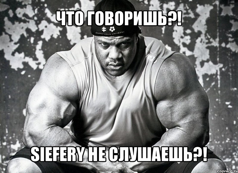 что говоришь?! siefery не слушаешь?!, Мем фил