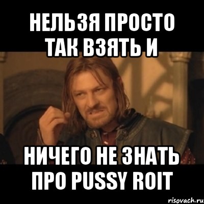 нельзя просто так взять и ничего не знать про pussy roit, Мем Нельзя просто взять