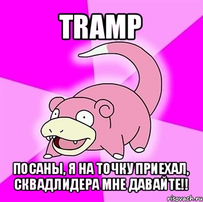 tramp посаны, я на точку приехал, сквадлидера мне давайте!!, Мем слоупок