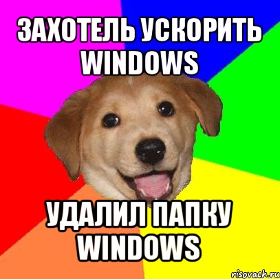 захотель ускорить windows удалил папку windows, Мем Advice Dog