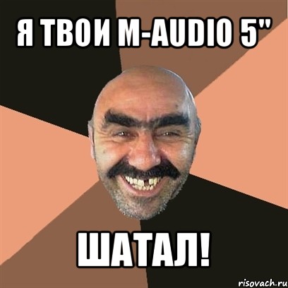 я твои m-audio 5" шатал!, Мем Я твой дом труба шатал