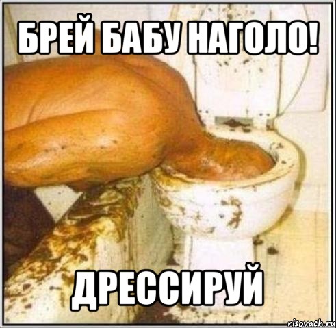 брей бабу наголо! дрессируй