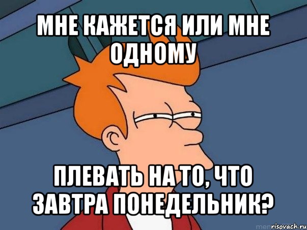 мне кажется или мне одному плевать на то, что завтра понедельник?, Мем  Фрай (мне кажется или)