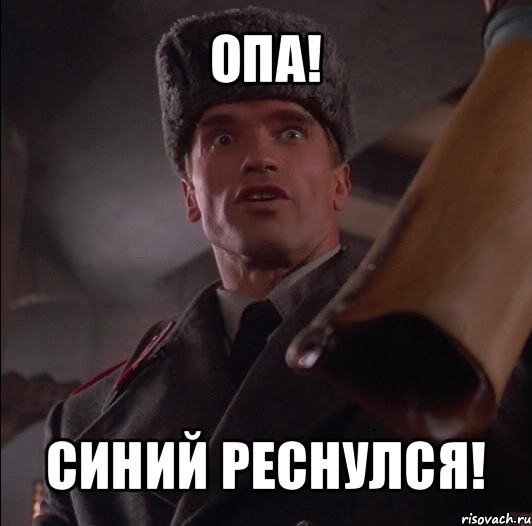 опа! синий реснулся!