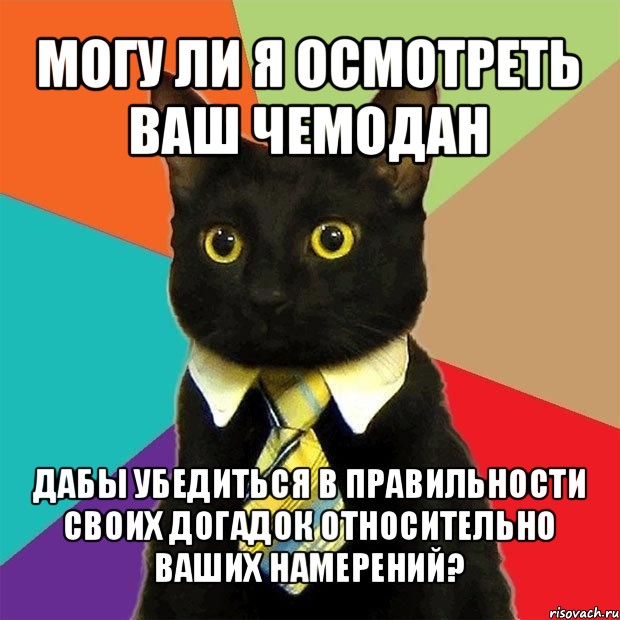 могу ли я осмотреть ваш чемодан дабы убедиться в правильности своих догадок относительно ваших намерений?