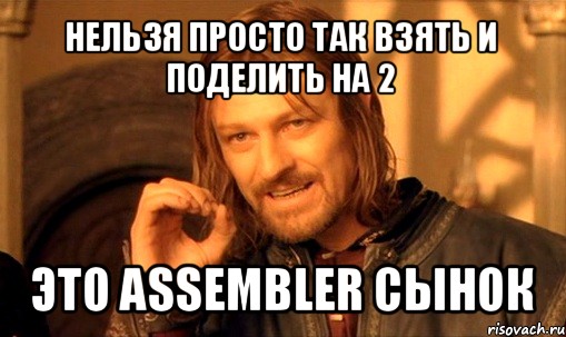 нельзя просто так взять и поделить на 2 это assembler сынок, Мем Нельзя просто так взять и (Боромир мем)