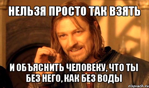 нельзя просто так взять и объяснить человеку, что ты без него, как без воды, Мем Нельзя просто так взять и (Боромир мем)