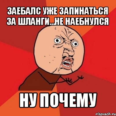 заебалс уже запинаться за шланги...не наебнулся ну почему, Мем Почему