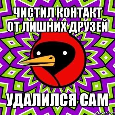 чистил контакт от лишних друзей удалился сам, Мем Омская птица