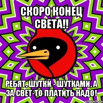 скоро конец света!! ребят, шутки - шутками, а за свет-то платить надо!, Мем Омская птица