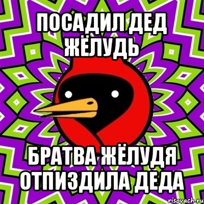 посадил дед жёлудь братва жёлудя отпиздила деда, Мем Омская птица