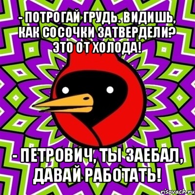 - потрогай грудь. видишь, как сосочки затвердели? это от холода! - петрович, ты заебал, давай работать!, Мем Омская птица