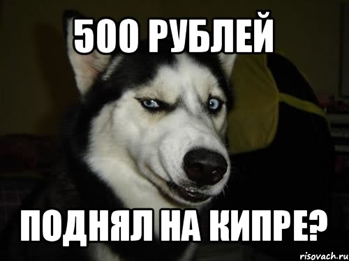 500 рублей поднял на Кипре?, Комикс  Собака подозревака