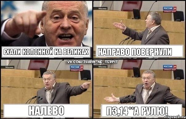 Ехали колонной на великах Направо повернули Налево П3,14**а рулю!, Комикс Жириновский