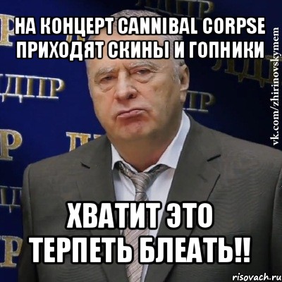 на концерт cannibal corpse приходят скины и гопники хватит это терпеть блеать!!, Мем Хватит это терпеть (Жириновский)