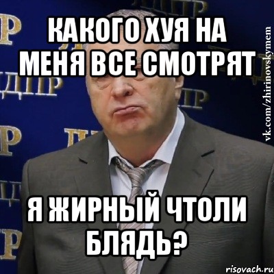 какого хуя на меня все смотрят я жирный чтоли блядь?, Мем Хватит это терпеть (Жириновский)