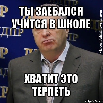 ты заебался учится в школе хватит это терпеть, Мем Хватит это терпеть (Жириновский)