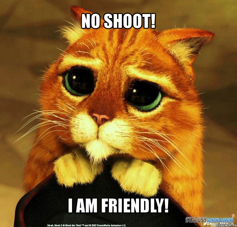 no shoot! i am friendly!