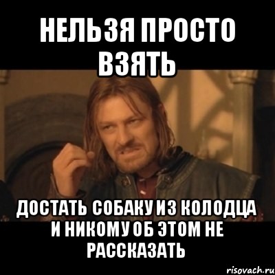 нельзя просто взять достать собаку из колодца и никому об этом не рассказать, Мем Нельзя просто взять