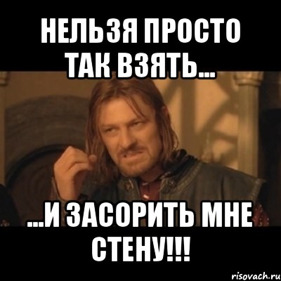 нельзя просто так взять... ...и засорить мне стену!!!, Мем Нельзя просто взять