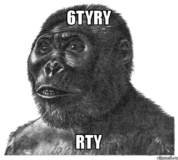 6tyry rty, Мем обезьяна