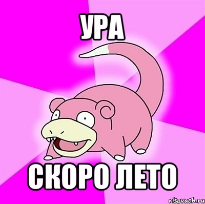 ура скоро лето, Мем слоупок