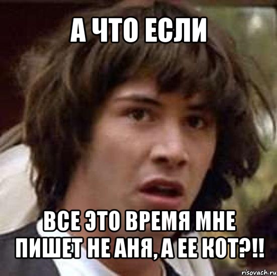 а что если все это время мне пишет не аня, а ее кот?!!