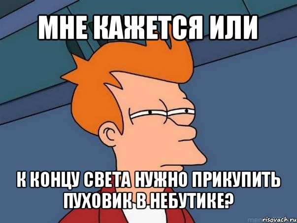 мне кажется или к концу света нужно прикупить пуховик в небутике?, Мем  Фрай (мне кажется или)