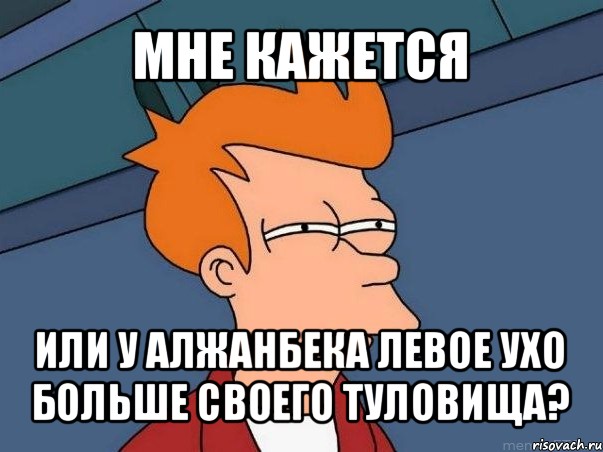 мне кажется или у алжанбека левое ухо больше своего туловища?, Мем  Фрай (мне кажется или)