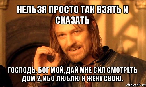 нельзя просто так взять и сказать господь, бог мой, дай мне сил смотреть дом 2, ибо люблю я жену свою., Мем Нельзя просто так взять и (Боромир мем)