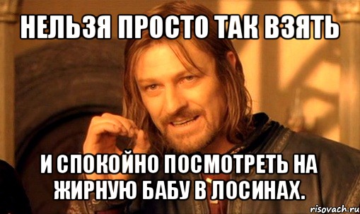 нельзя просто так взять и спокойно посмотреть на жирную бабу в лосинах., Мем Нельзя просто так взять и (Боромир мем)