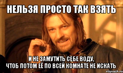 нельзя просто так взять и не замутить себе воду,
чтоб потом её по всей комнате не искать, Мем Нельзя просто так взять и (Боромир мем)