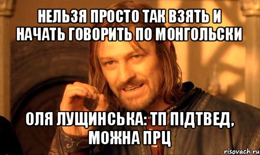 нельзя просто так взять и начать говорить по монгольски оля лущинська: тп пiдтвед, можна прц, Мем Нельзя просто так взять и (Боромир мем)