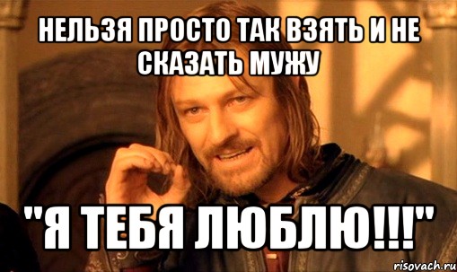 нельзя просто так взять и не сказать мужу "я тебя люблю!!!", Мем Нельзя просто так взять и (Боромир мем)