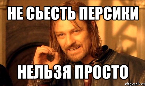 не сьесть персики нельзя просто, Мем Нельзя просто так взять и (Боромир мем)