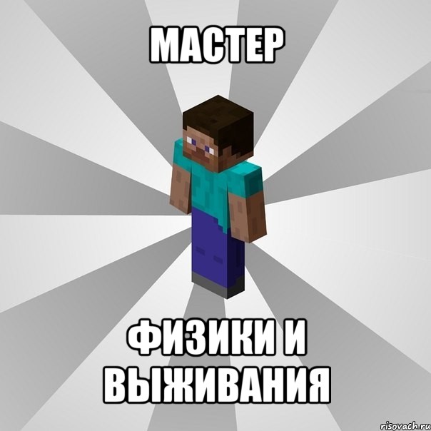 мастер физики и выживания, Мем Типичный игрок Minecraft