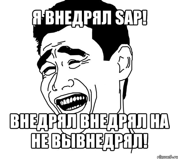 я внедрял sap! внедрял внедрял на не вывнедрял!, Мем Яо минг